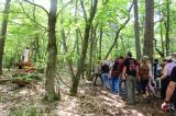 Promenons nous dans les bois 42 * 5184 x 3456 * (11.18MB)